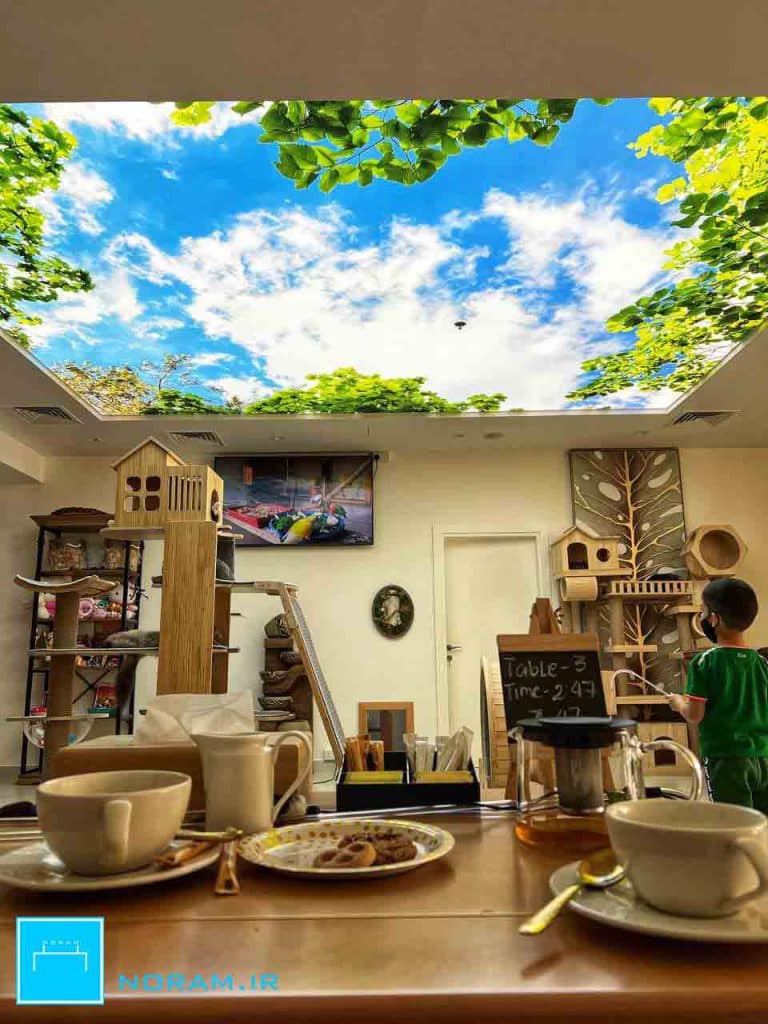 سقف کشسان پرینتی